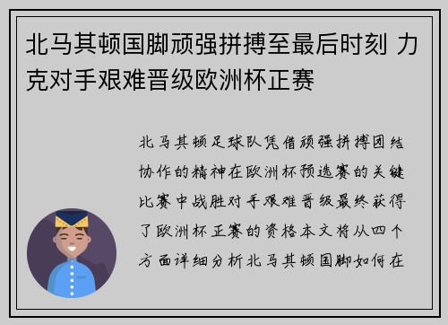 北马其顿国脚顽强拼搏至最后时刻 力克对手艰难晋级欧洲杯正赛