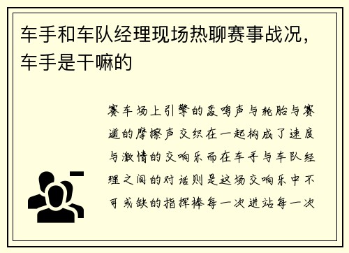 车手和车队经理现场热聊赛事战况，车手是干嘛的